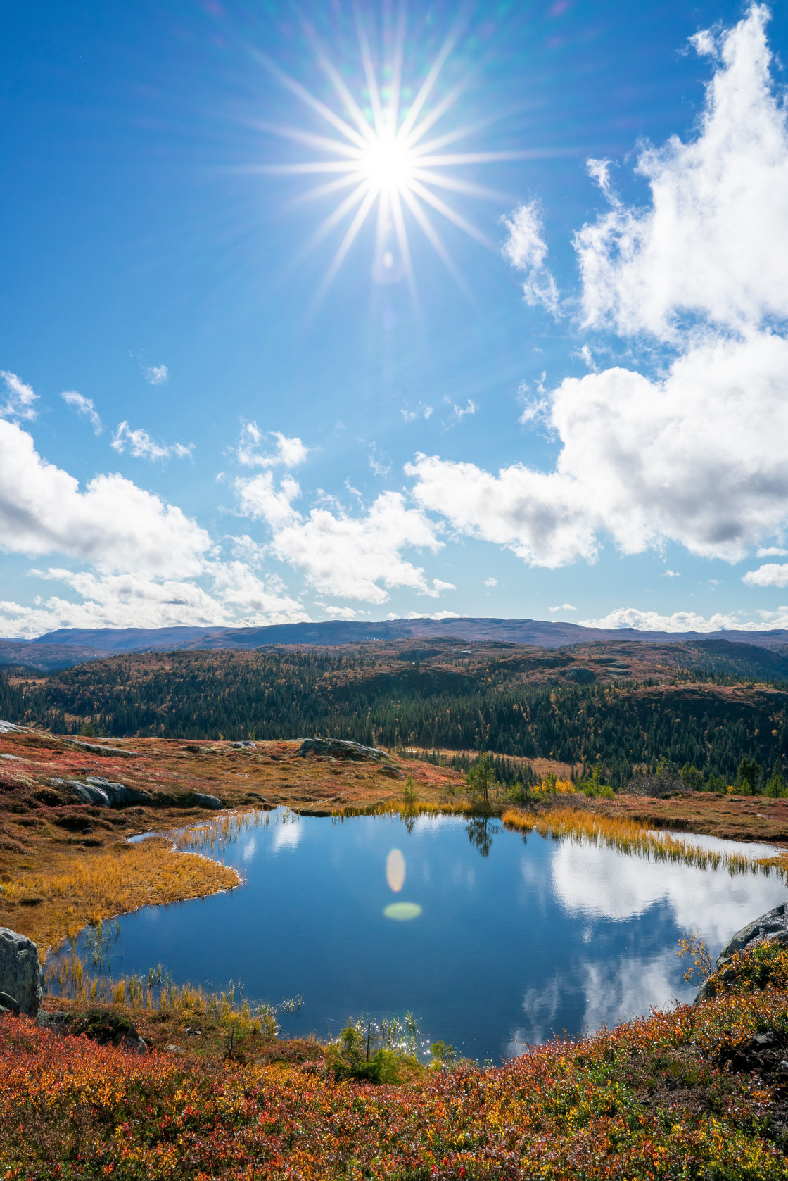 Gamle Nes foto: Lars Storheim