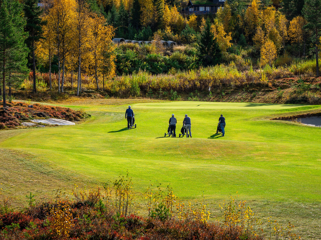 Nesfjellet Golf