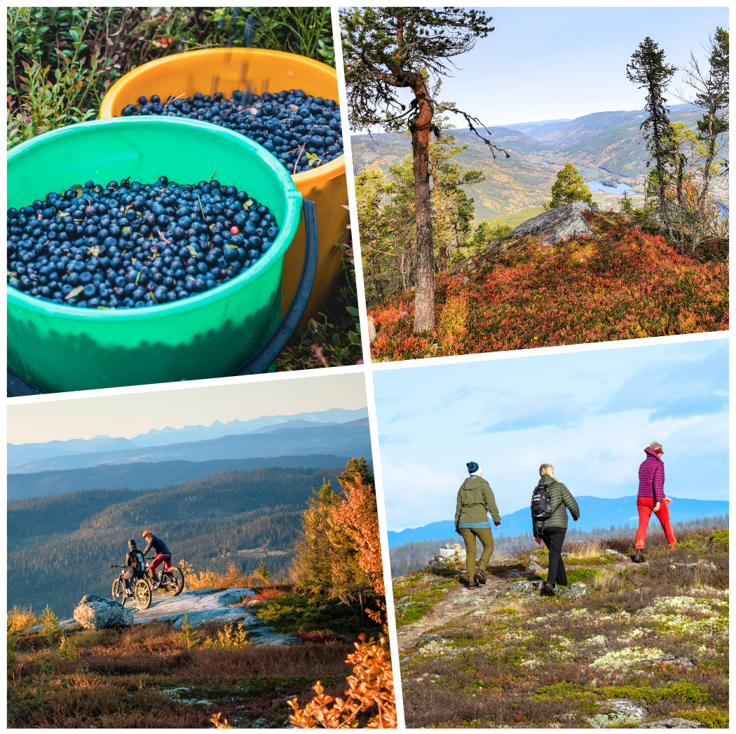 Festspillene i Nesbyen