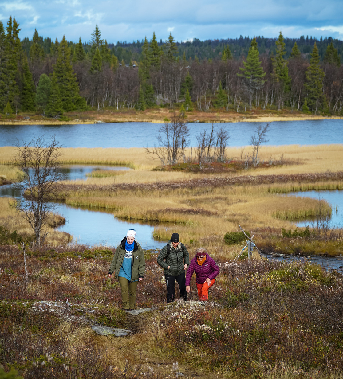 Butten i Nes Nordmark