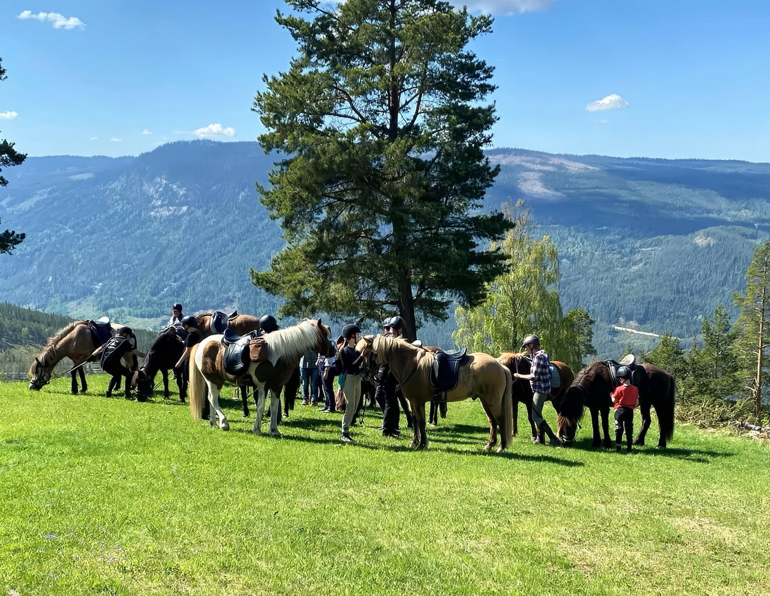 Butten i Nes Nordmark